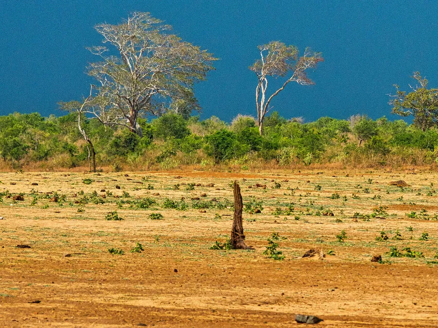 Udawalawe